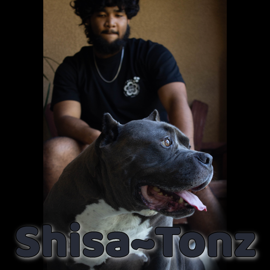 The Original Shisa~Tonz Tee