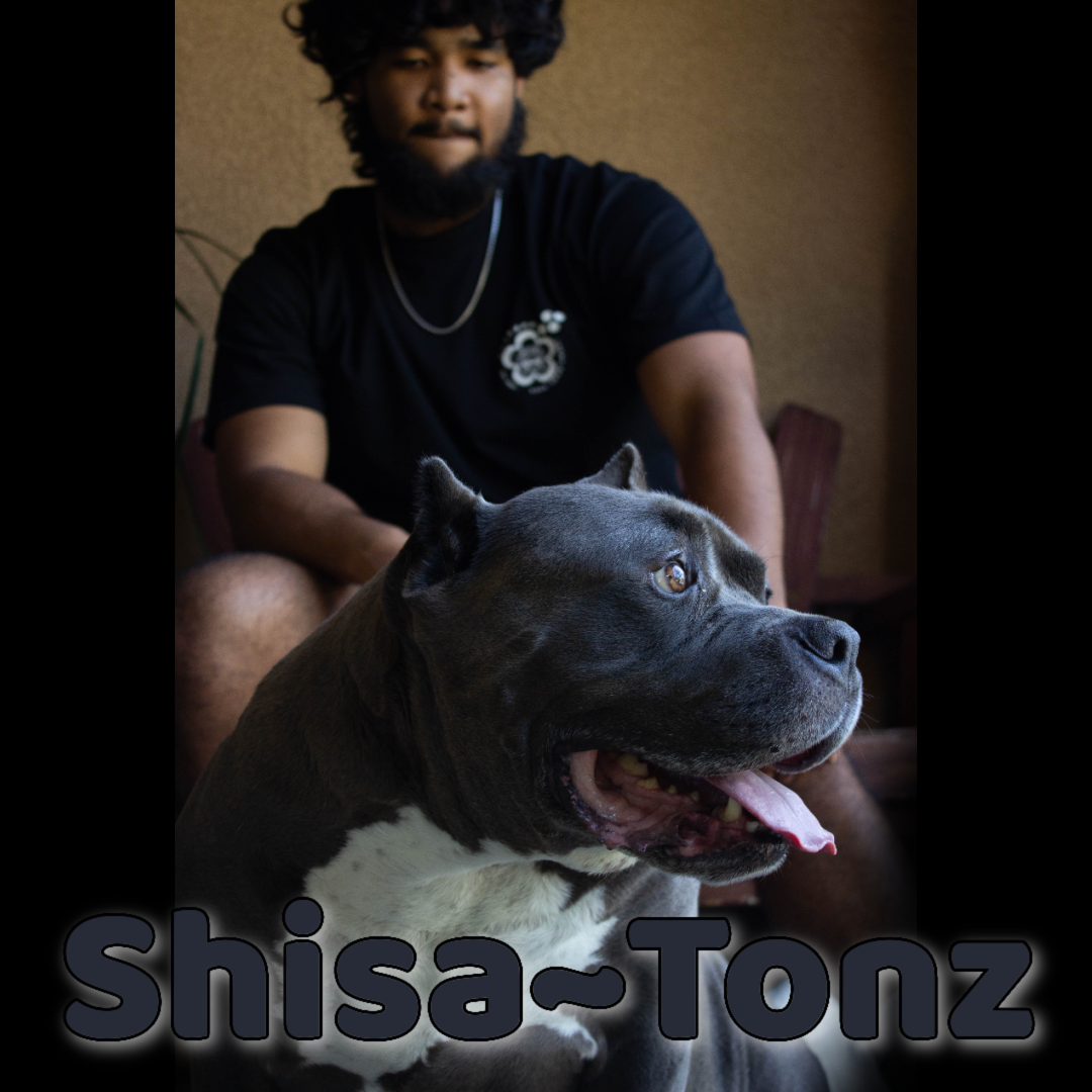 Shisa~Tonz Tee (original)